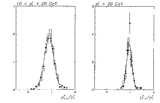 Figure 5.15 of DESY Report H1-96-01