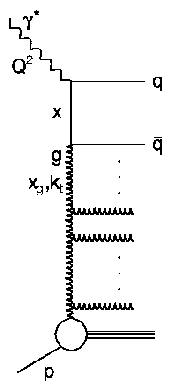 Ladder diagram of parton evolution